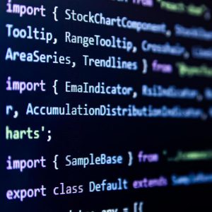 Incremental Build Systems